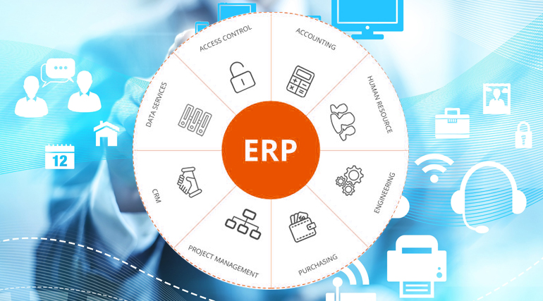 Custom ERP Solutions